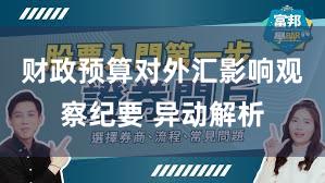 财政预算对外汇影响观察纪要 异动解析